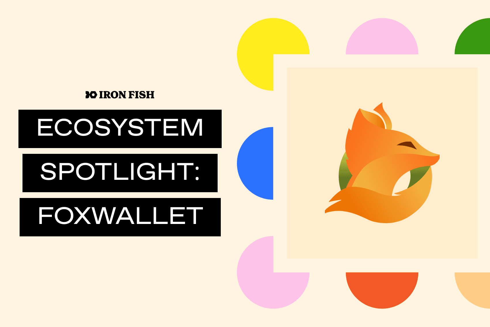 Ecosystem Spotlight FoxWallet Iron Fish Blog
